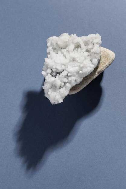 Discover the features