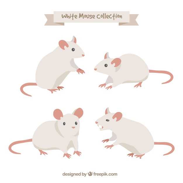 The Atorvastatin mouse, powered by advanced technology, is designed to enhance your scientific studies. With its superior features and precision, it allows for accurate and reliable results, revolutionizing the field of research.