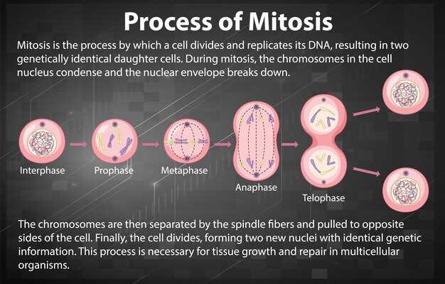 Overview of atherogenesis