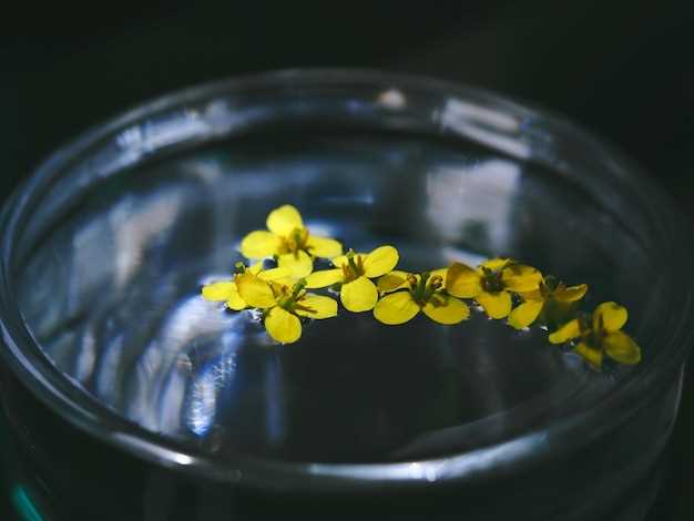 undefinedRediscover comfort. Rediscover confidence. Choose Finasteride.</strong>