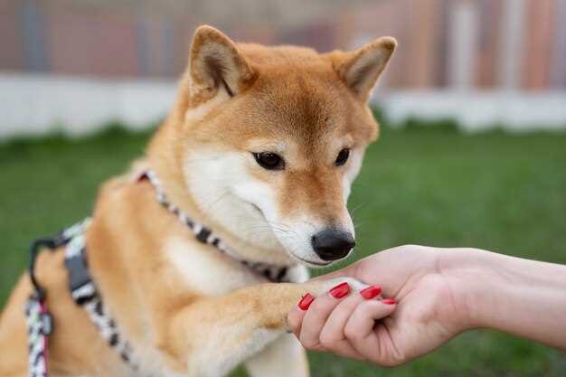 Improved Quality of Life