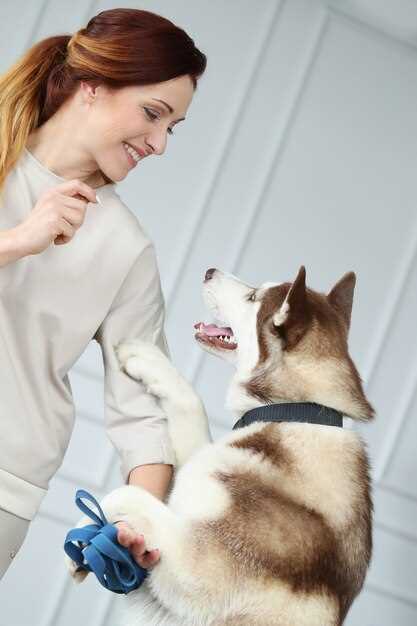 Frequently Asked Questions about Gabapentin Dosis En Perros