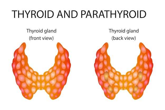 Common Questions and Answers