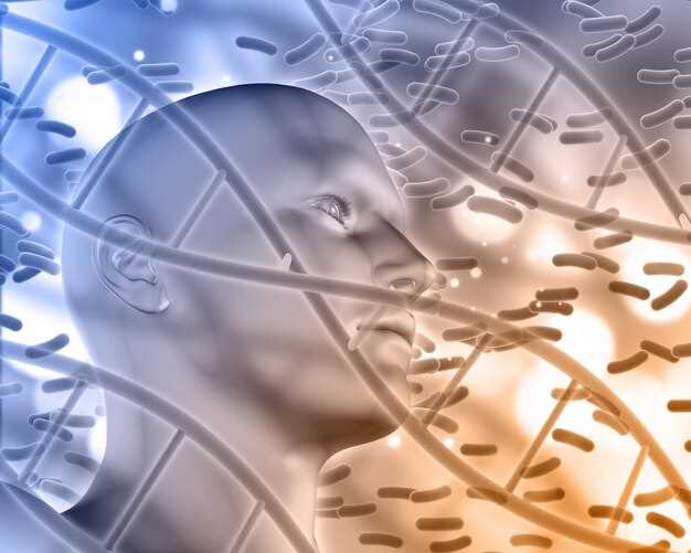 Overview of the Products