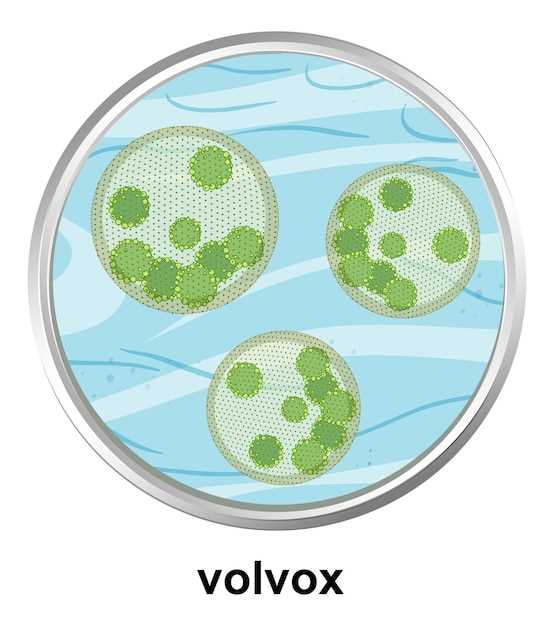 Managing severe depression