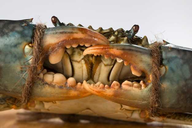 1. Effectiveness in Treating Schizophrenia