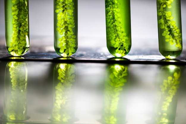 Benefits of lower cholesterol levels